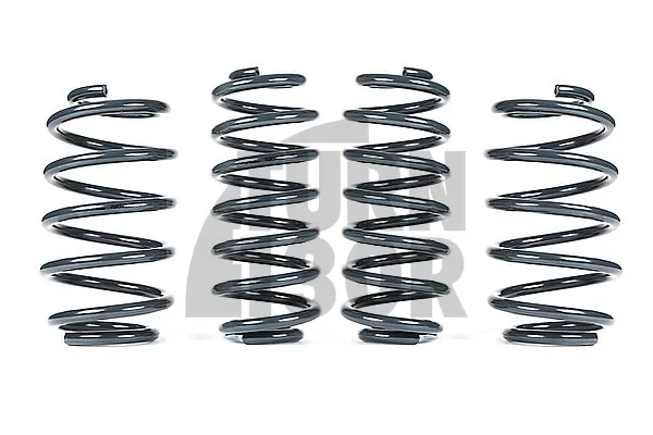 Racingline -25mm Sportfedern UP GTI