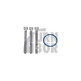 Hochdruck-Kraftstoffpumpe O-Ring und Schrauben für 2.0 TFSI EA113 Hochdruck-Kraftstoffpumpe O-Ring und Schrauben für 2.0 TFSI EA113