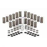 Audi RS3 / TTRS 2.5 TFSI Ferrea Ventilfedern und Halterungen Kit Audi RS3 / TTRS 2.5 TFSI Ferrea Ventilfedern und Halterungen Kit