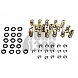 Audi S3 8P / Golf 5 GTI / Golf 6 R / Leon 2 Cupra 2.0 TFSI EA113 Ferrea-Ventilfedern und -Einstellringe Kit Audi S3 8P / Golf 5 GTI / Golf 6 R / Leon 2 Cupra 2.0 TFSI EA113 Ferrea-Ventilfedern und -Einstellringe Kit
