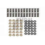 BMW M3 E36 3.0 / 3.2 Ferrea Ventilfedern und Halterungen Kit BMW M3 E36 3.0 / 3.2 Ferrea Ventilfedern und Halterungen Kit