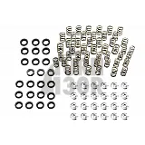 BMW M3 E46 Ferrea Ventilfedern und Halterungen Kit BMW M3 E46 Ferrea Ventilfedern und Halterungen Kit