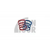 Leyo Diverter & BOV Uprated Feder-Kit Leyo Diverter & BOV Uprated Feder-Kit