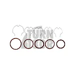 Black Mamba Charge Pipe Kit for BMW M3 G80 - M4 G8x and X3M - X4M F9x