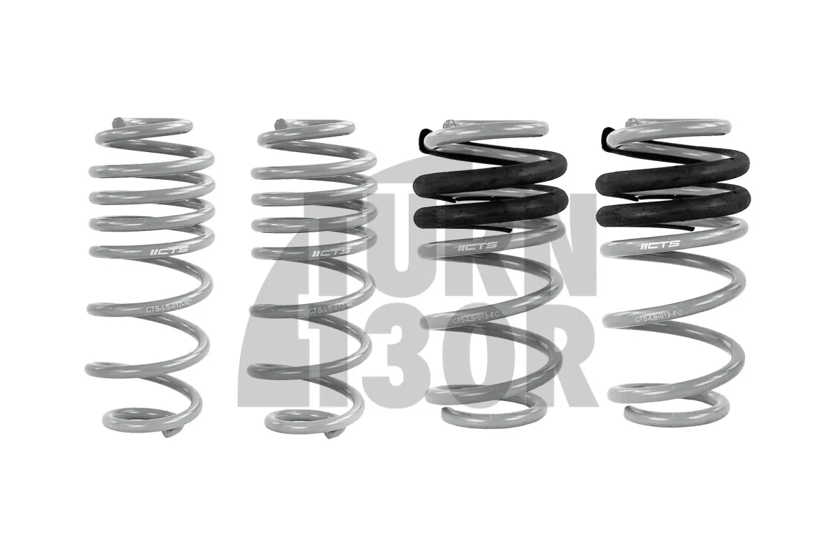 CTS Turbo -50mm Sportfedern für Audi A4 und S4 B8