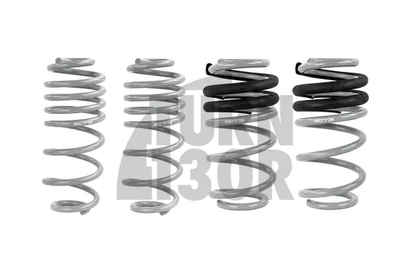 CTS Turbo -50mm Sportfedern für Audi A4 und S4 B8