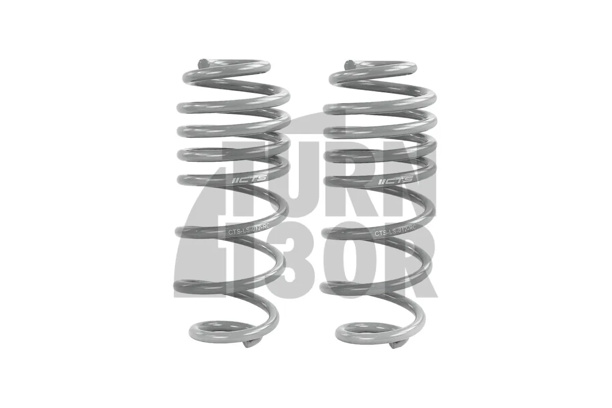CTS Turbo -50mm Sportfedern für Audi A4 und S4 B8